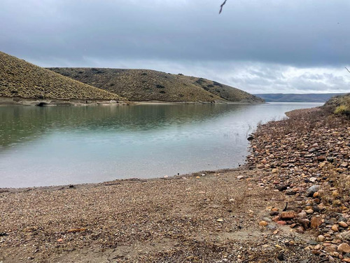 Campo En Venta En Alicura