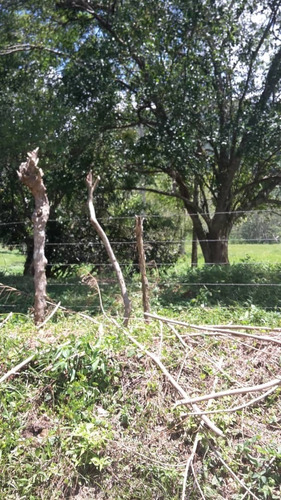 Imagen 12 de 14 de Terreno Nirgua Yaracuay 51 Hectáreas De Terreno