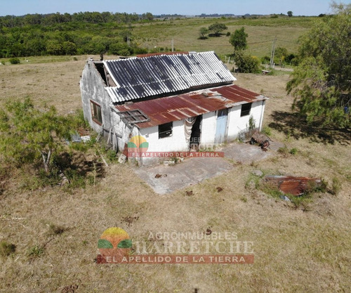 Imagen 1 de 17 de Venta De Chacra Melilla 3 Has Hermoso Paisaje.financia Propietario