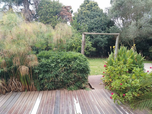 Imagen 9 de 9 de Alquiler Casa Con Parque - 2 Ambientes - Villa Primera