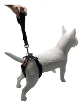 Comprar Arnes Perros Ayuda Ortopedia Rehabilitacion Displacia K9 