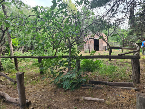 Venta De Quinta