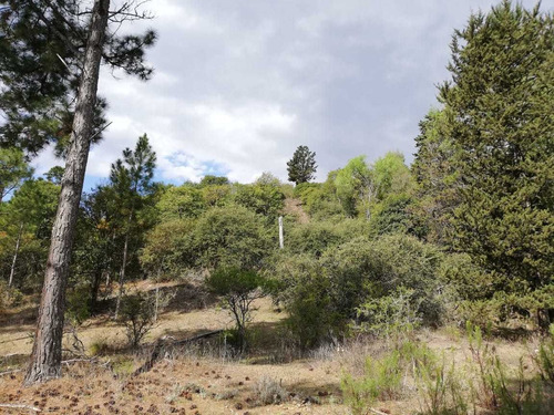 Imagen 13 de 14 de Loteo Pinar De Molina, Lotes A Partir De 3400m2.