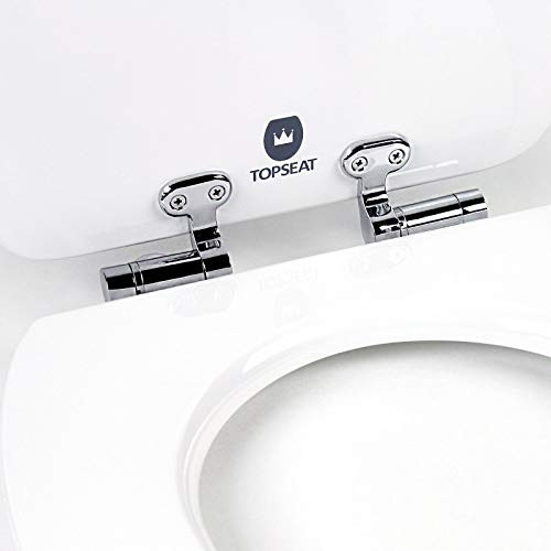 Asiento De Inodoro Elongado Art Of Acryl 6ts2e9902sl 00...