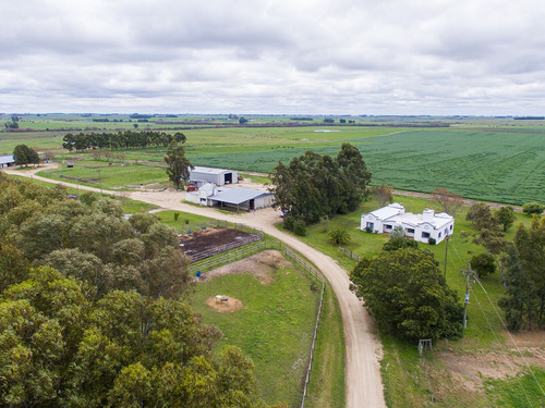 Campo En Venta En Florida Ref. 4408 (ref: Cbr-669)