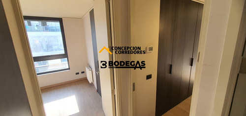 Departamento Duplex 2d+3b Providencia - Metro Fco Bilbao
