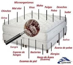 Imagen 9 de 10 de Lavado Muebles Colchon Cortinas Alfombras 4647931-3102663199