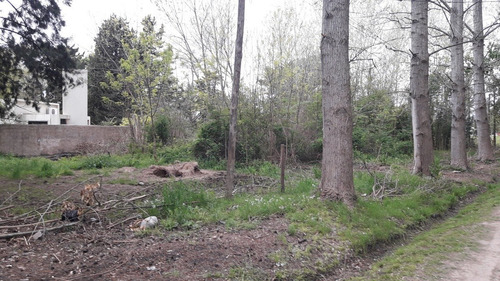 Imagen 3 de 5 de Lote De 996m2 En El Rodeo