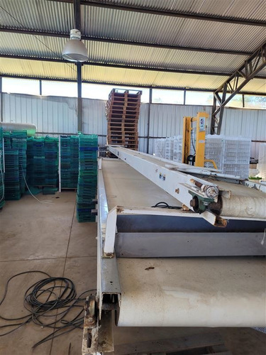 Imagen 9 de 18 de Agrícola En Venta En Ñiquén