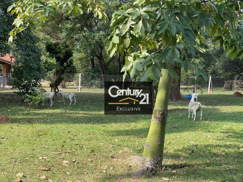 Imagem 14 de 30 de Chácara Com 4 Dormitórios Para Alugar, 6000 M² Por R$ 10.000,00/mês - Colinas Do Mosteiro De Itaici - Indaiatuba/sp - Ch0094