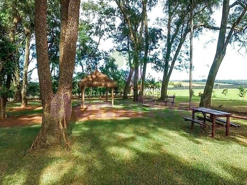 Imagem 21 de 28 de Terreno Industrial, W Park Condomínio Industrial, Mongi Mirim - Te08616 - 34837415