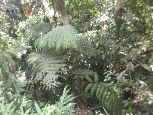 Imagem 8 de 12 de Terreno Ideal Para Chácara À Venda, 1.387 M² - Estância Alto Da Serra (ouro Fino Paulista) - Ribeirão Pires/sp - Te0959