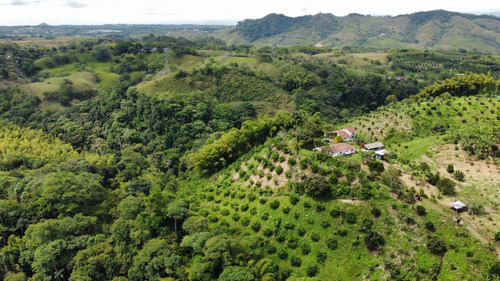 Finca En Venta En Pereira 