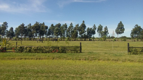 Imagen 6 de 14 de Villa Renata Arroyo Vega - Esquina - Corrientes - Argentina