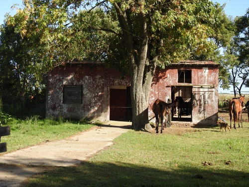 Imagen 2 de 19 de 53 Ha Haras Bavio, Partido De Magdalena