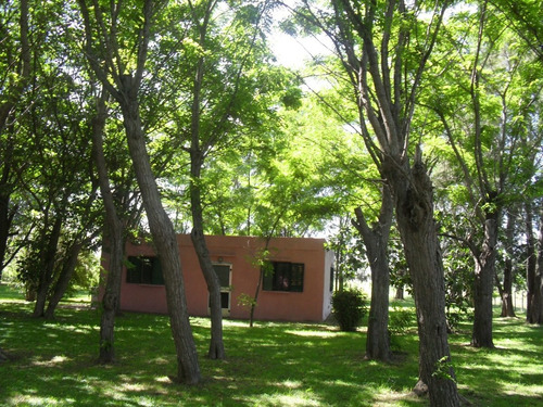 Imagen 16 de 24 de Vendo Casa De Campo. 3 Has. Oportunidad!! En Brandsen A 90 Km. De Caba. Escritura Al Día. Planos De Las Construcciones. Dueño Directo