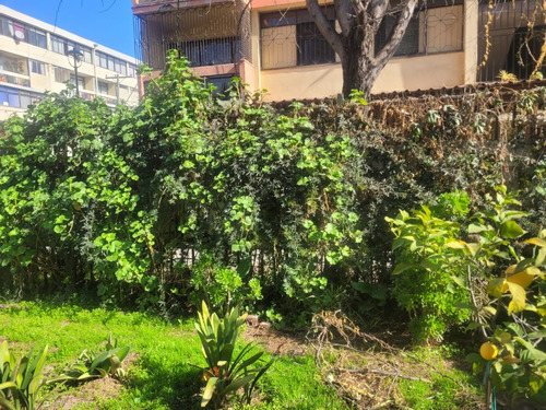 Venta Departamento Los Jazmines 1367 Primer Piso