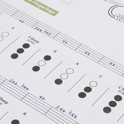 Tabla De Acordes De Trompeta Digitación Nota Instrumento Mus