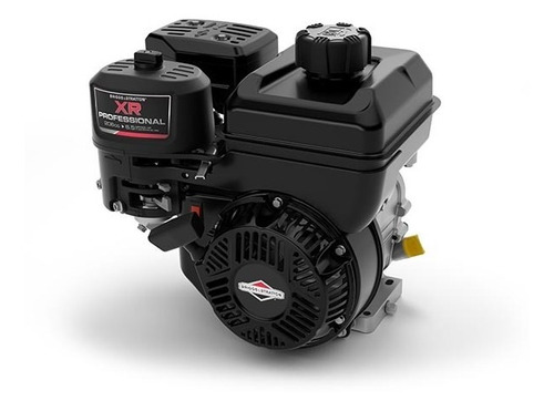 Motor Briggs & Stratton 10 Hp Xr Professional Envio Gratis