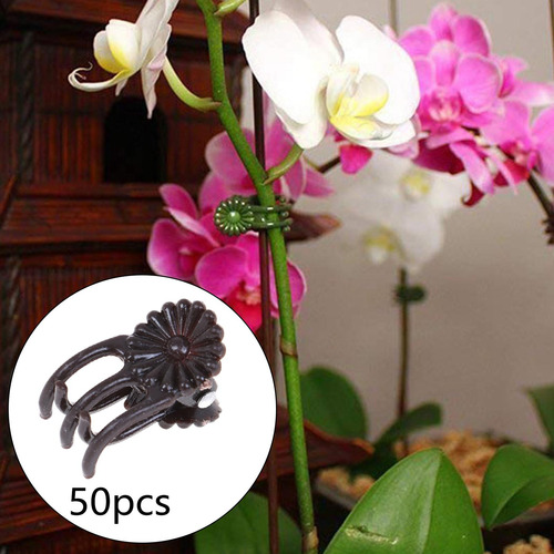 Juego De 50 Pinzas De Plástico Para Orquídeas, Marrón