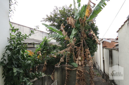 Imagem 4 de 6 de Lote À Venda No Carlos Prates - Código 250943 - 250943