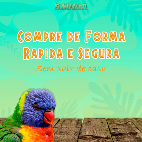 Imagem 5 de 5 de Ração Para Iguana 280g - Terrestre Pets - Premium