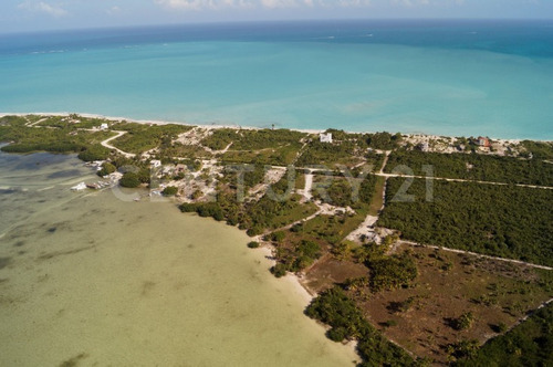 Imagen 8 de 22 de Terreno Con Hermosa Playa Para Desarrolladores En Isla Blanca Cancún C2509