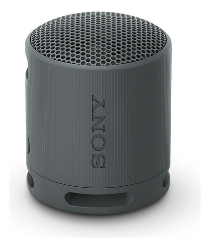 Bocina Inalámbrica Portátil Bluetooth 16w Sony Srs-xb100 Ctc