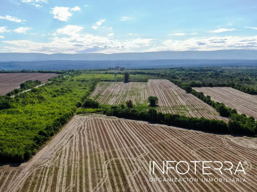Imagen 13 de 14 de Lote En Venta Calamuchita Vista De San Ignacio