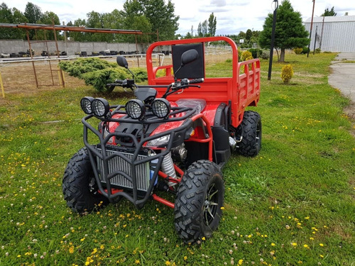 Cuatrimoto Modelo Agricola Soporta 1000 Kilos Homologado 