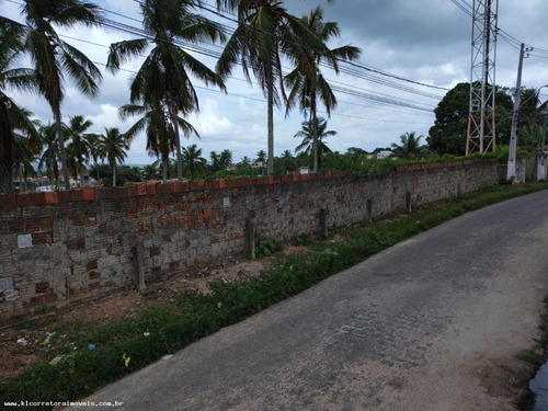 Imagem 6 de 10 de Terreno Para Venda Em Nísia Floresta, Centro - Kt 0125 G_2-1481746