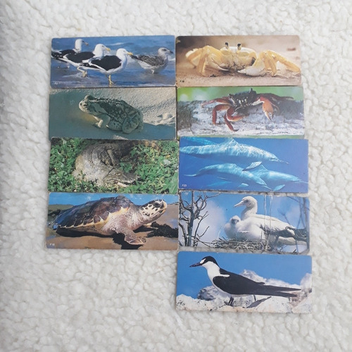 9 Figurinha Card Nestlé Surpresa Litoral E Ilhas Oceânicas