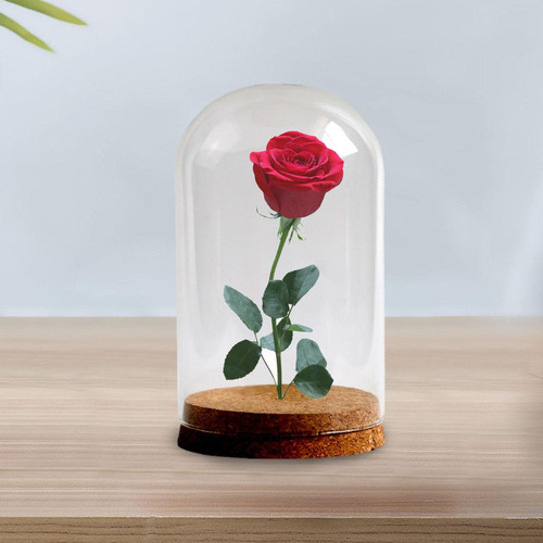 Y Cubierta De Cristal De Flores Preservadas, 10cmx16cm