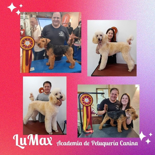 Imagen 1 de 10 de Curso De Peluquería Canina Lumax