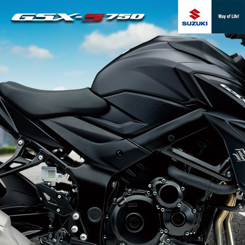 Suzuki Gsx S750 A