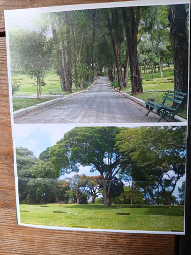 Jazigo Cem.guetshemani 5 Gavetas Disponível Uso Imediato