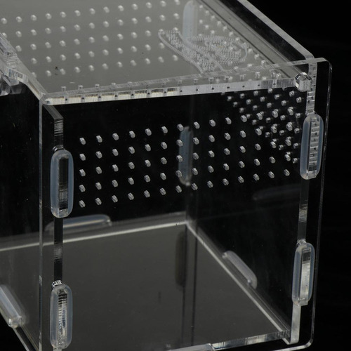 Nuevo Caja De Cría Tortuga Arañas Accesorios De Blanco 1