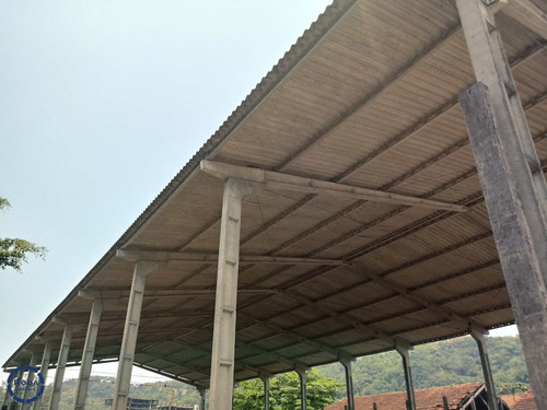 Galpão No Saboó Em Santos - V9523