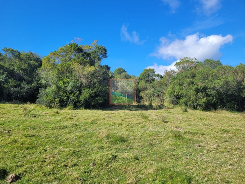 Imagen 18 de 22 de Campo Turístico 145hás En Zona De Pan De Azúcar