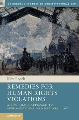 Remedies For Human Rights Violations : A Two-track Approa...
