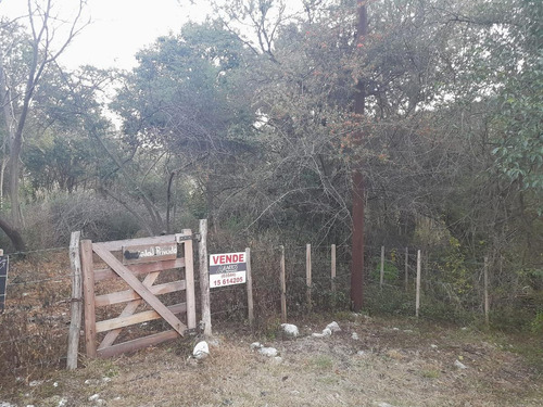 Imagen 3 de 6 de Terreno - Los Hornillos
