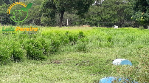 Imagem 8 de 15 de Fazenda À Venda Em Marianópolis - To- De 100 Alqueirões (dupla Aptidão) - 1785