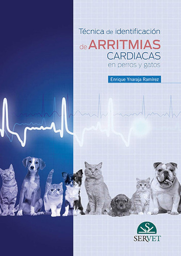 Técnica De Identificación De Arritmias Cardiacas En Pe 61fzv