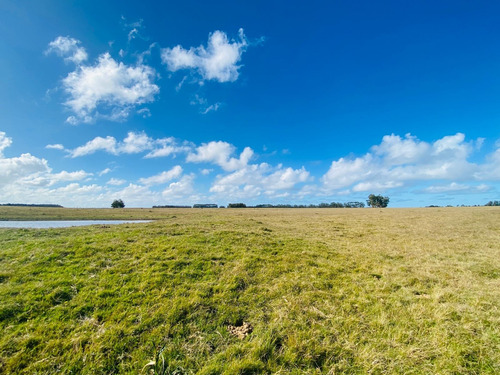 Imagen 2 de 14 de Campo En Venta De 150000m2 Ubicado En Maldonado