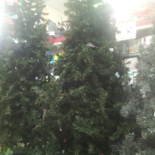 Árboles De Navidad Frondoso