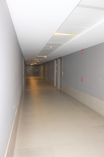 Imagen 12 de 14 de Oficina De 183 M2 Planta Libre Palermo Hollywood Humboldt