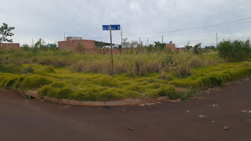 Imagem 1 de 2 de Terreno À Venda, 499 M² Por R$ 148.000,00 - Três Lagoas - Foz Do Iguaçu/pr - Te0444