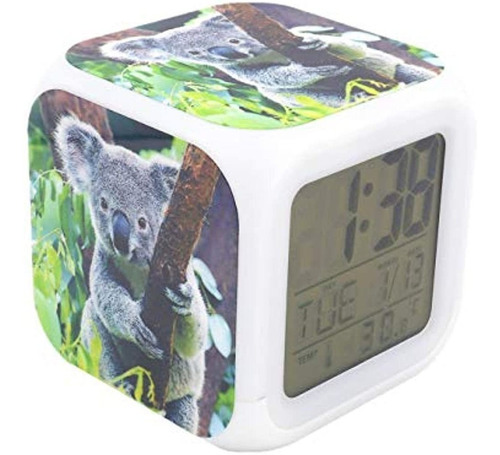 Bofy Led Despertador Australia Koala Patrón Personalidad Cre