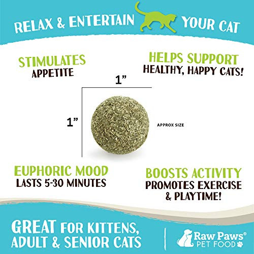 Pelota De Catnip Natural Para Gatos - Juguete Interactivo