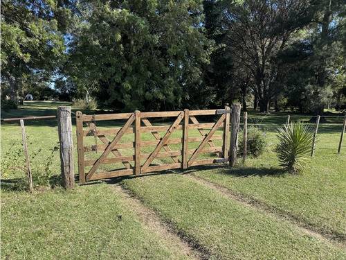 Vendo Lote De 1 Ha En Talita, Concepción Del Uruguay, Entre Ríos.